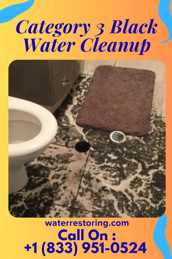 Category 3 Black Water Cleanup in Olsburg, KS